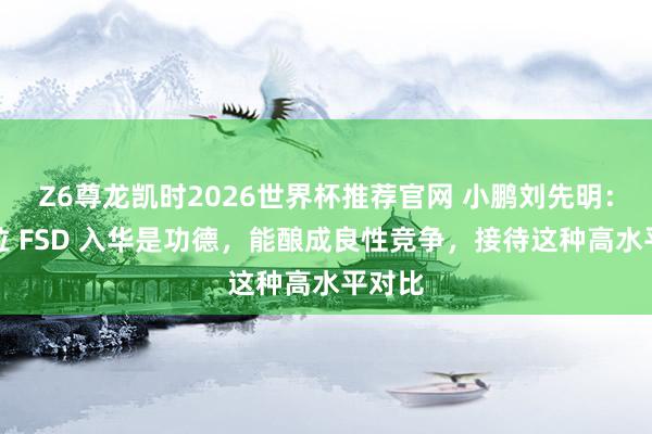 Z6尊龙凯时2026世界杯推荐官网 小鹏刘先明：特斯拉 FSD 入华是功德，能酿成良性竞争，接待这种高水平对比