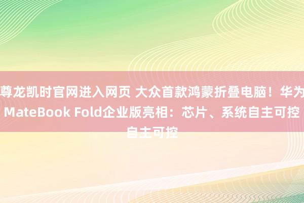 尊龙凯时官网进入网页 大众首款鸿蒙折叠电脑！华为MateBook Fold企业版亮相：芯片、系统自主可控
