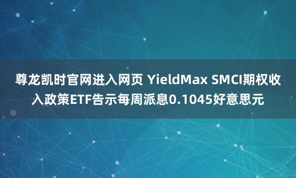 尊龙凯时官网进入网页 YieldMax SMCI期权收入政策ETF告示每周派息0.1045好意思元