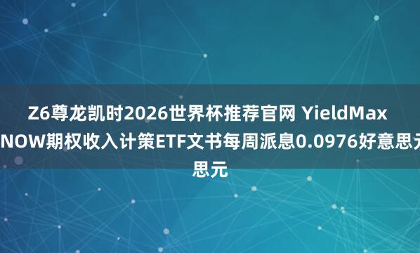 Z6尊龙凯时2026世界杯推荐官网 YieldMax SNOW期权收入计策ETF文书每周派息0.0976好意思元