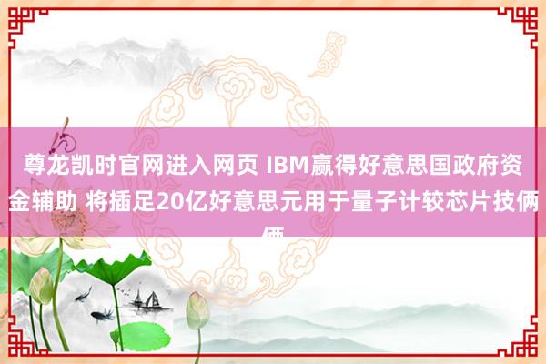 尊龙凯时官网进入网页 IBM赢得好意思国政府资金辅助 将插足20亿好意思元用于量子计较芯片技俩