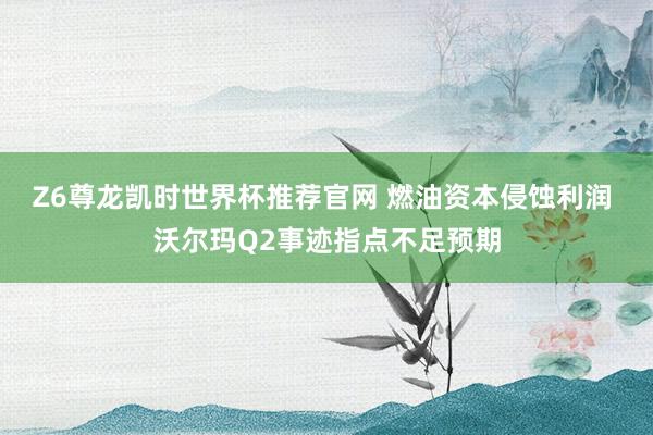 Z6尊龙凯时世界杯推荐官网 燃油资本侵蚀利润 沃尔玛Q2事迹指点不足预期