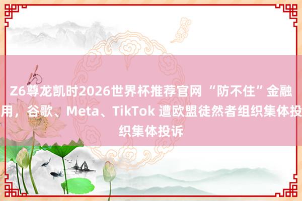 Z6尊龙凯时2026世界杯推荐官网 “防不住”金融运用，谷歌、Meta、TikTok 遭欧盟徒然者组织集体投诉