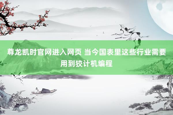 尊龙凯时官网进入网页 当今国表里这些行业需要用到狡计机编程