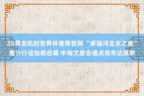 Z6尊龙凯时世界杯推荐官网 “多瑙河北京之夜”推介行径灿艳启幕 中匈文旅会通点亮布达佩斯