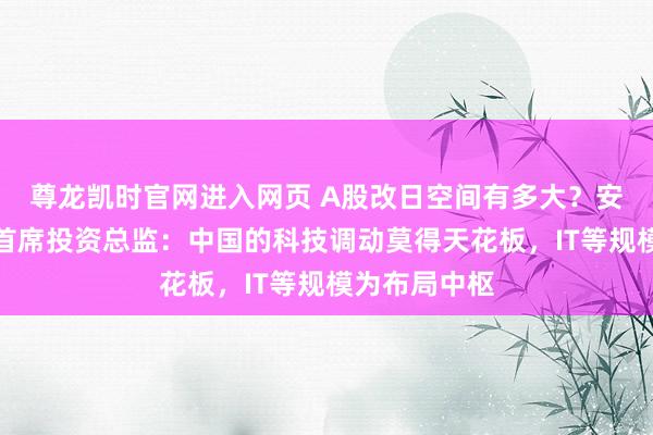 尊龙凯时官网进入网页 A股改日空间有多大？安联投资股票首席投资总监：中国的科技调动莫得天花板，IT等规模为布局中枢