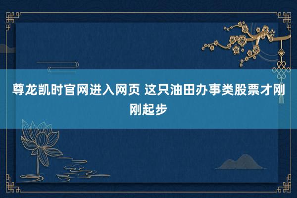 尊龙凯时官网进入网页 这只油田办事类股票才刚刚起步
