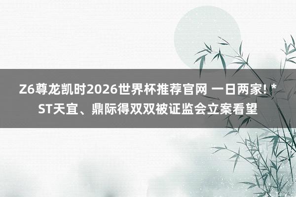 Z6尊龙凯时2026世界杯推荐官网 一日两家! *ST天宜、鼎际得双双被证监会立案看望