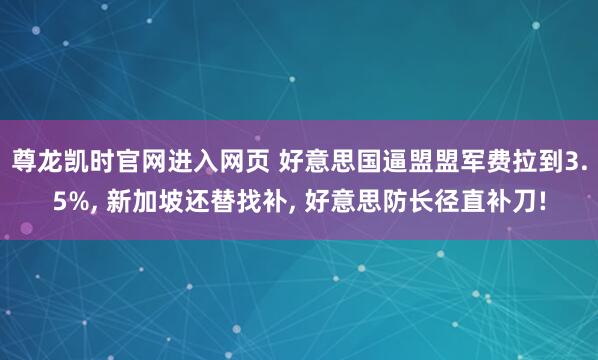 尊龙凯时官网进入网页 好意思国逼盟盟军费拉到3.5%， 新加坡还替找补， 好意思防长径直补刀!