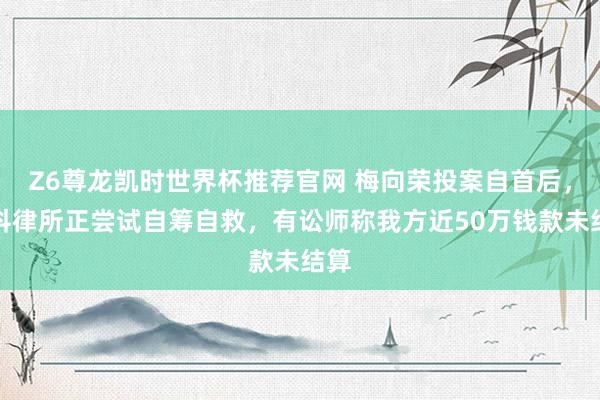 Z6尊龙凯时世界杯推荐官网 梅向荣投案自首后，盈科律所正尝试自筹自救，有讼师称我方近50万钱款未结算