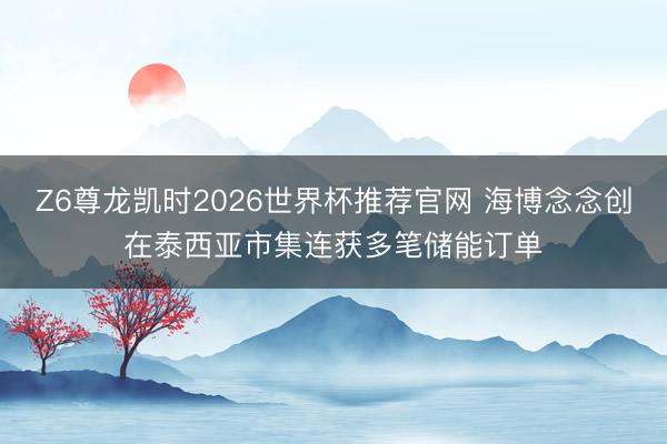 Z6尊龙凯时2026世界杯推荐官网 海博念念创在泰西亚市集连获多笔储能订单