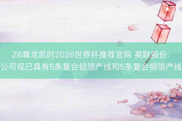 Z6尊龙凯时2026世界杯推荐官网 英联股份：公司现已具有5条复合铝箔产线和5条复合铜箔产线