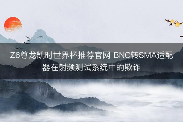 Z6尊龙凯时世界杯推荐官网 BNC转SMA适配器在射频测试系统中的欺诈