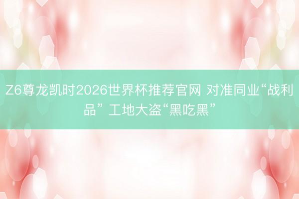 Z6尊龙凯时2026世界杯推荐官网 对准同业“战利品” 工地大盗“黑吃黑”